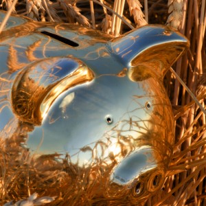 Shiny PiggyBank in a Wheat Field